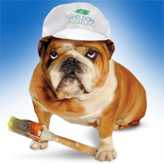 Angus, Our Mascot for Interior Painting