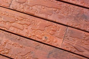 Best Wood Stain Buying Guide