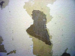 wallpaper removal solution