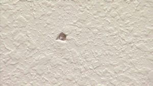 Properly Repair Nail Pops in Drywall