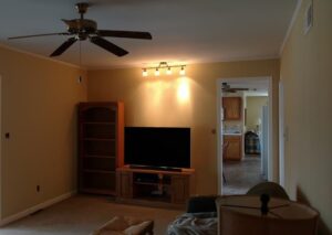 Most Popular Interior Colors