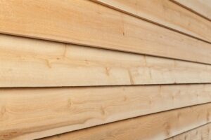 Stain or paint on cedar siding