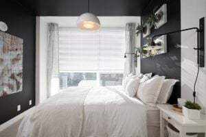 color trends in 2016